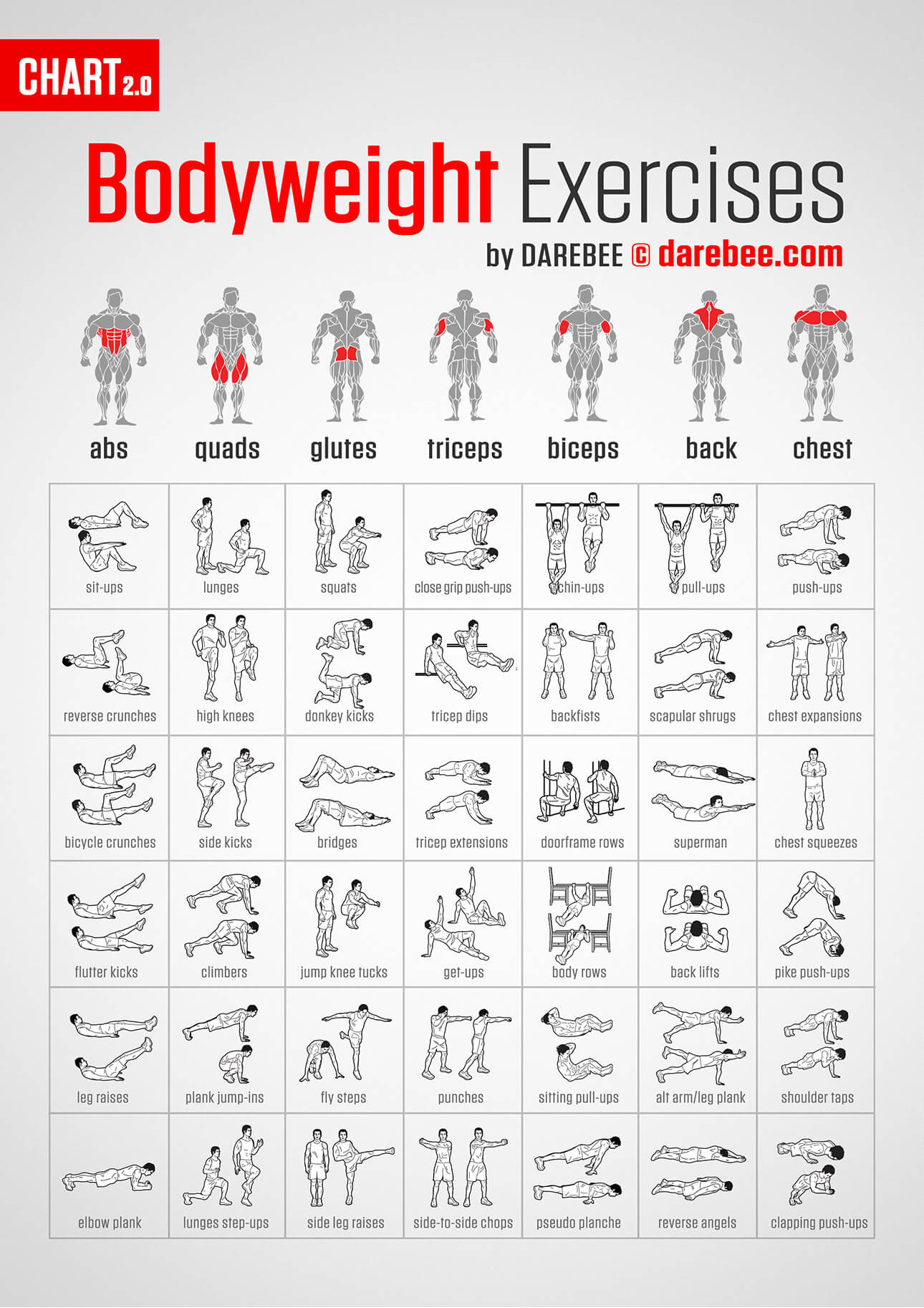 functional-dumbbell-exercises-dumbbell-workout-exercise-functional