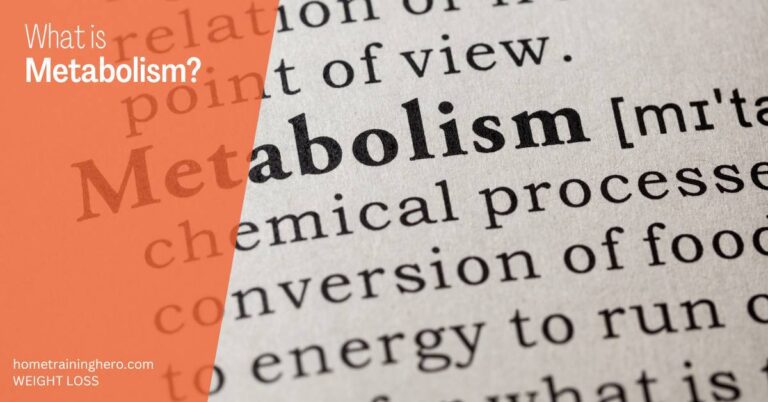 What is Metabolism? - HomeTrainingHero